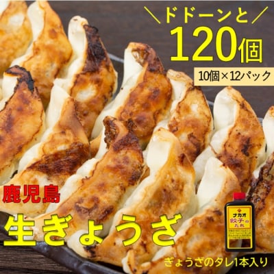 鹿児島生ぎょうざ120個セット(10個×12パック) 餃子のたれ付き　AS-937