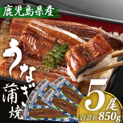 鹿児島県産うなぎ蒲焼 5尾 DSR-101