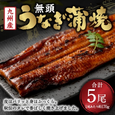 九州産 無頭 うなぎ 蒲焼き 約170g×5尾 国産 ウナギ 蒲焼 DSR-102