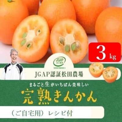 【先行受付】【2023年12月中旬より発送開始】きんかん3kg(ご自宅用)レシピ付き A-484