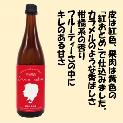 甑島小町・Otome Tsubaki 飲み比べ セット 各720ml AS-528