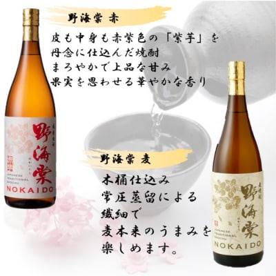 蔵元セレクション・鹿児島の本格焼酎 1800ml×6本セット HSR-004