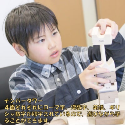 薩摩川内市産ヒノキ IKONIH 知育セット JS-108