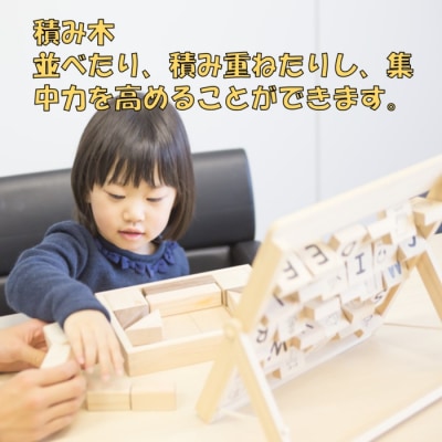 薩摩川内市産ヒノキ IKONIH 知育セット JS-108