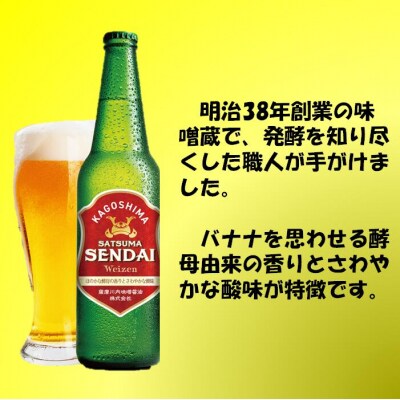 薩摩川内ヴァイツェン 20本セット ES-103