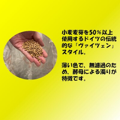 薩摩川内ヴァイツェン 20本セット ES-103