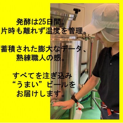 薩摩川内ヴァイツェン 20本セット ES-103