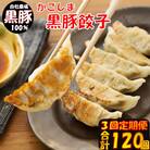 【3回定期便】かごしま黒豚餃子 合計120個 BS-820