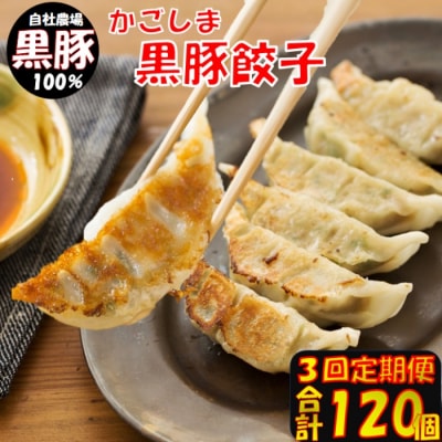 【3回定期便】かごしま黒豚餃子 合計120個 BS-820