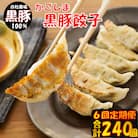 【6回定期便】かごしま黒豚餃子 合計240個 ES-503