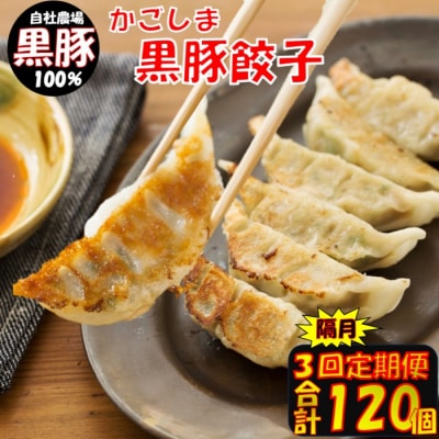 【隔月3回定期便】かごしま黒豚餃子 合計120個 BS-819