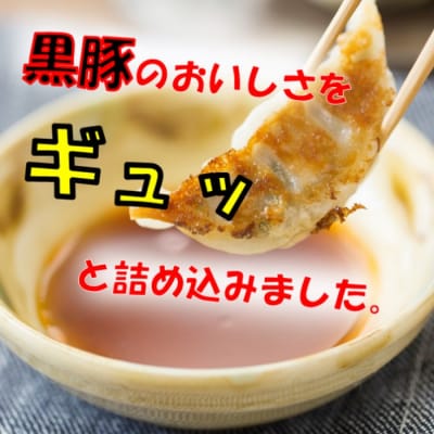 【隔月3回定期便】かごしま黒豚餃子 合計120個 BS-819