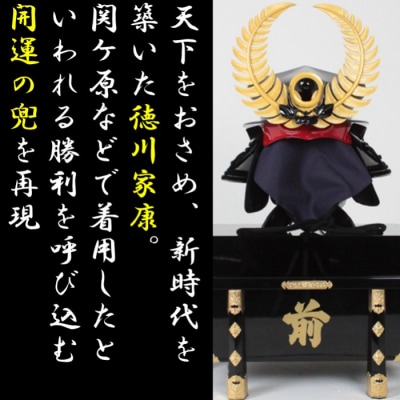 徳川家康大黒頭巾の兜(松) TS-501