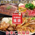 【お楽しみ福袋D】うなぎ1尾が必ず入る!6品以上 BS-044