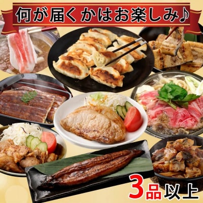 【期間限定】【お楽しみ福袋A】鹿児島の美味しいが届く!3品以上 ZSR-696 