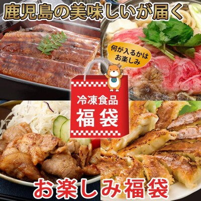 【お楽しみ福袋E】黒豚 or 黒毛和牛どちらか必ず入る!6品以上 BS-518