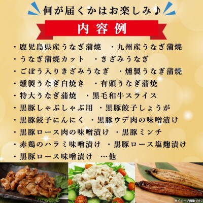 【お楽しみ福袋E】黒豚 or 黒毛和牛どちらか必ず入る!6品以上 BS-518