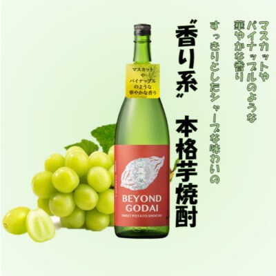 香り系の本格焼酎 「BEYOND GODAI」1800ml×2本 BSR-521