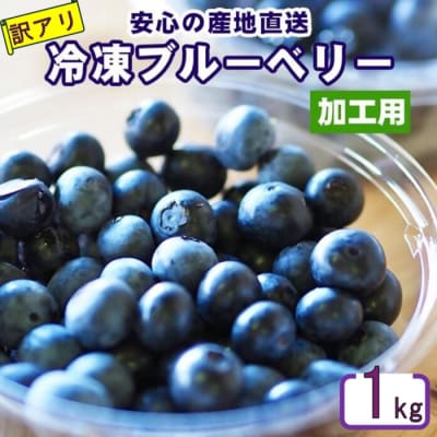ZS-529 【訳あり】冷凍ブルーベリー 1kg