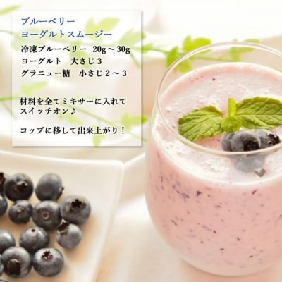 ZS-529 【訳あり】冷凍ブルーベリー 1kg