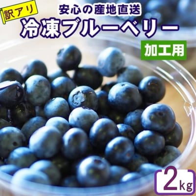 AS-096 【訳あり】冷凍ブルーベリー 2kg