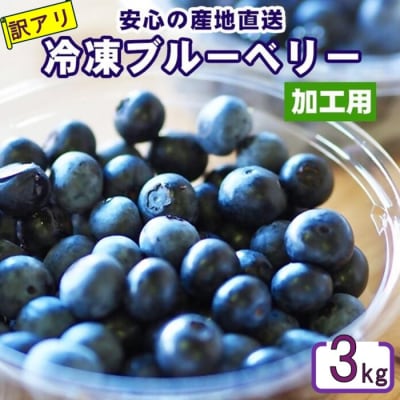 【訳あり】冷凍ブルーベリー 3kg AS-547