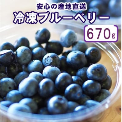 冷凍ブルーベリー 670g ZS-764 