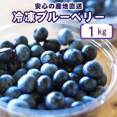 【7月以降順次発送】 冷凍ブルーベリー 1kg ブルーベリー ぶるーべりー フルーツ AS-2246
