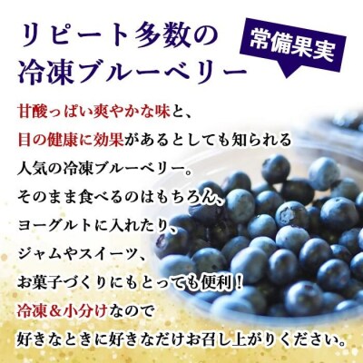 【7月以降順次発送】 冷凍ブルーベリー 1kg ブルーベリー ぶるーべりー フルーツ AS-2246