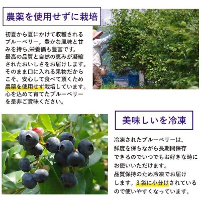 冷凍ブルーベリー 1kg AS-095