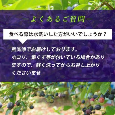 【7月以降順次発送】 冷凍ブルーベリー 1kg ブルーベリー ぶるーべりー フルーツ AS-2246