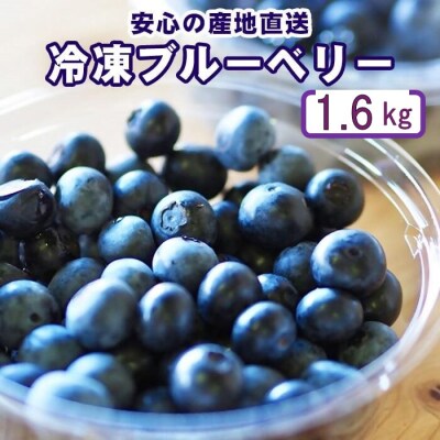 冷凍ブルーベリー 1.6kg ブルーベリー ぶるーべりー フルーツ AS-8135