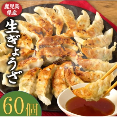 鹿児島 生 ぎょうざ 60個 セット 餃子 ギョウザ 小分け ASR-0101