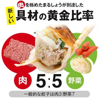 鹿児島 生 ぎょうざ 60個 セット 餃子 ギョウザ 小分け ASR-0101