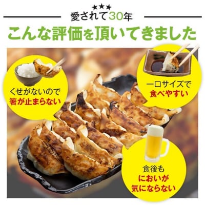 鹿児島 生 ぎょうざ 60個 セット 餃子 ギョウザ 小分け ASR-0101