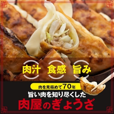 鹿児島 生 ぎょうざ 60個 セット 餃子 ギョウザ 小分け ASR-0101