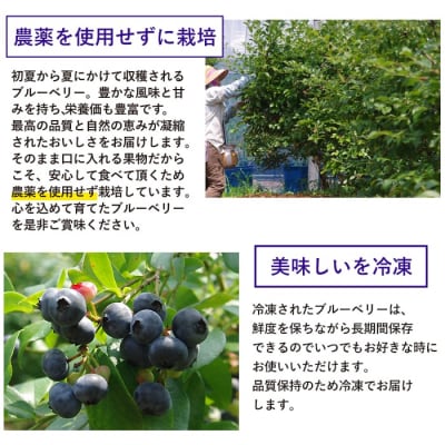 みるみる　完熟冷凍ブルーベリー　4kg 楽天市場】【ふるさと納税】【訳アリ】冷凍ブルーベリー 1kg