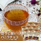 鹿児島茶フレーバーティー【ほうじ茶】バニラチョコ8箱 AS-084