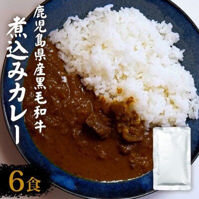 【訳あり】鹿児島県産黒毛和牛カレー 6袋 AS-097