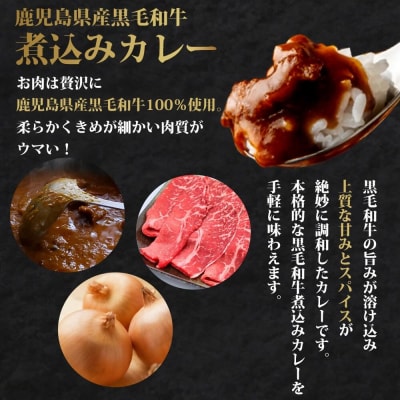 【訳あり】鹿児島県産黒毛和牛カレー 6袋 AS-097