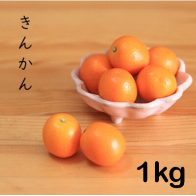 きんかん 1kg AS-167