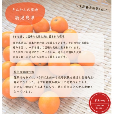 きんかん 1kg AS-167