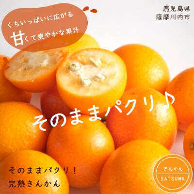 きんかん 1kg AS-167