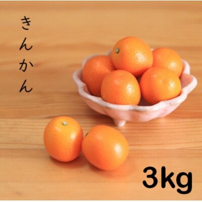 きんかん3kg BS-373