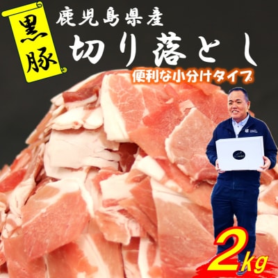 鹿児島県産 黒豚 切り落とし 2kg(250g×8パック)  鹿児島 豚肉 小分け ASR-2165