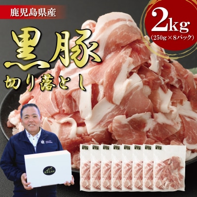 鹿児島県産 黒豚 切り落とし 2kg(250g×8パック)  鹿児島 豚肉 小分け ASR-2165