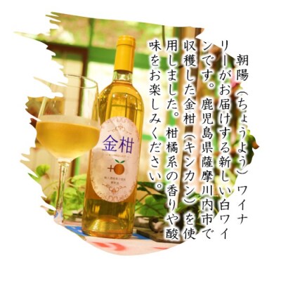 金柑ワイン 2本 朝陽ワイナリー AS-175