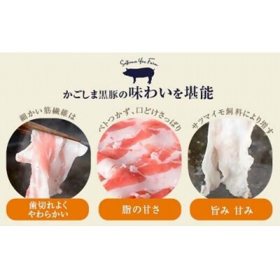 かごしま黒豚バラ肉しゃぶしゃぶ用 500g×隔月3回定期便 CS-217