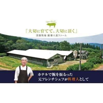 かごしま黒豚バラ肉しゃぶしゃぶ用 500g×隔月3回定期便 CS-217