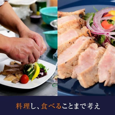 かごしま黒豚ロース肉厚切り(とんかつ・ステーキ用) 500g×6回定期便 FS-315